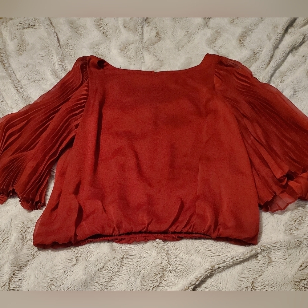 Simply Liliana Woman Elegant Blouse Red Butterfly Sleeve Sz XL Elastic Waistband - Picture 2 of 9